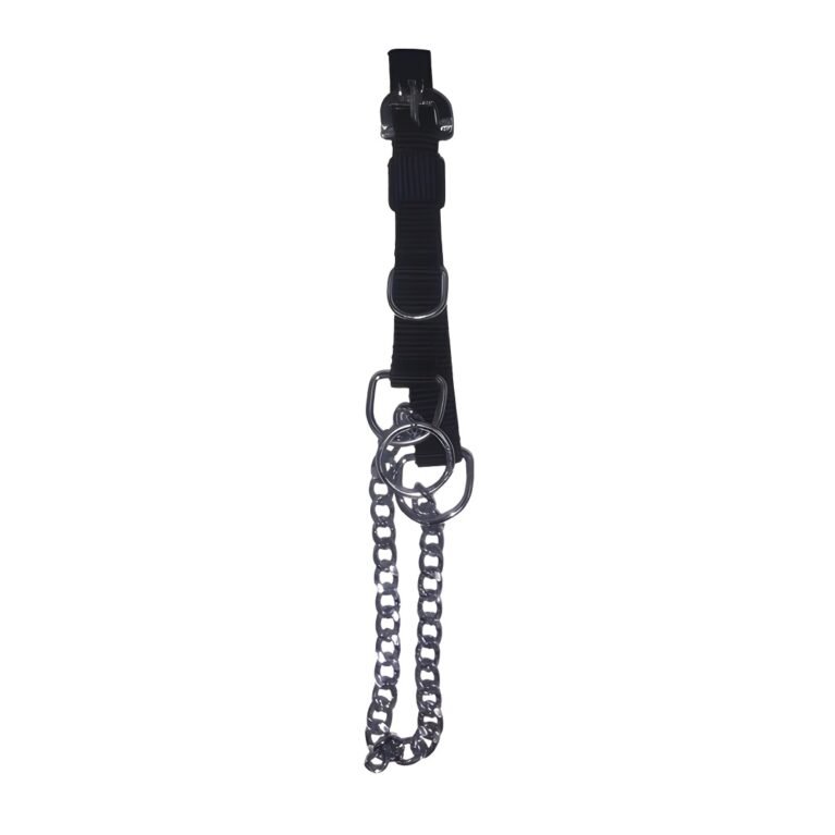 Adjustable Dog Chain Collar – Strong, Secure & Ideal for Training