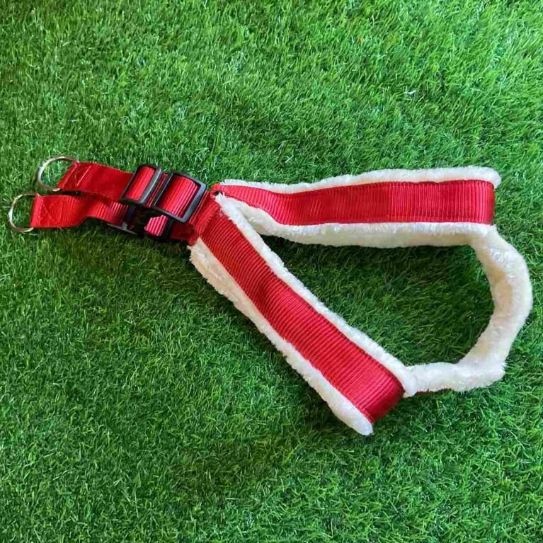 Custom Fit Adjustable Nylon Dog Harness – Durable, Comfortable & No-Pull Design