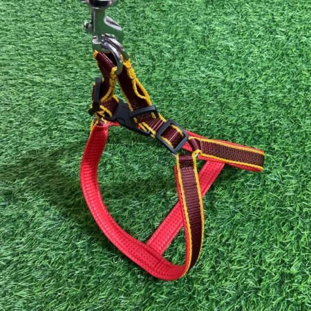 Dog Harness Nylon – Durable, Adjustable & Comfortable for Daily Walks