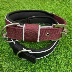 Dog Poly Spun Collar – Strong, Adjustable & Comfortable for Daily Use