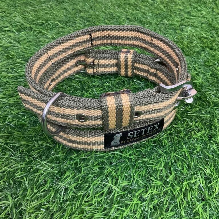 Dog Poly Spun Dog Collar – Strong, Adjustable & Durable for Everyday Use