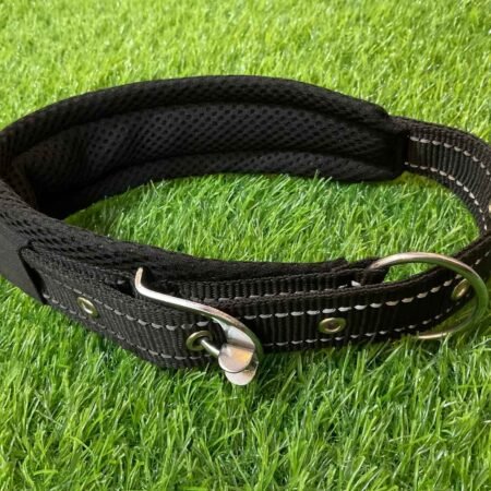 Durable Black Dog Collar – Strong, Adjustable & Comfortable for Everyday Use