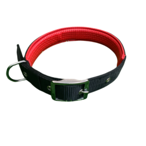 Dog Collar Set Nylon – Durable, Adjustable & Comfortable for Everyday Use